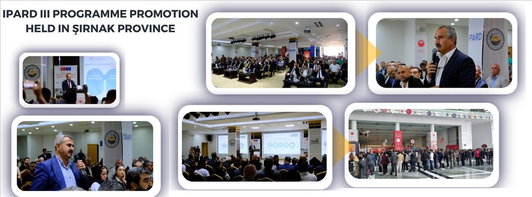 IPARD III PROGRAMME PROMOTION HELD IN ŞIRNAK PROVINCE