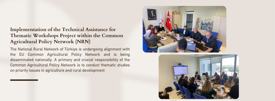 Implementation of the Technical Assistance for Thematic Workshops Project within the Common Agricultural Policy Network (NRN)