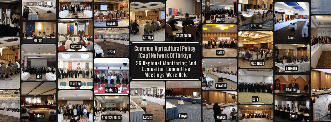 Common Agricultural Policy (Cap) Network Of Türkiye 26 Regional Monitoring And Evaluation Committee Meetings Were Held