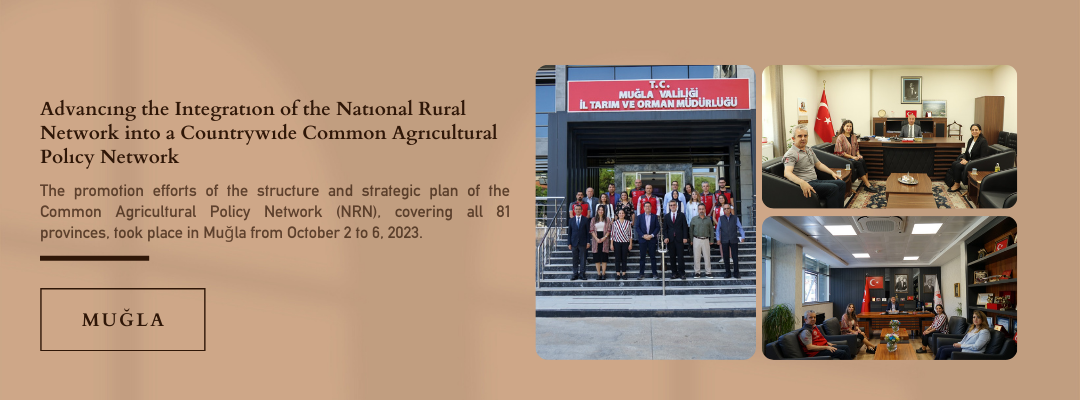 Advancing the Integration of the National Rural Network into a Countrywide Common Agricultural Policy Network